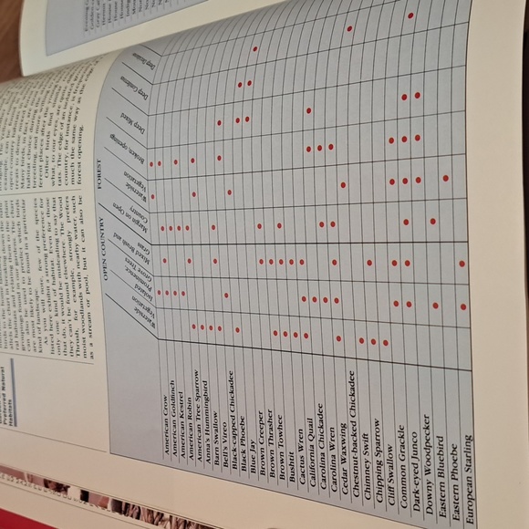 How to attract Birds/ BUNDLE ONLY 2or more items - Picture 7 of 16